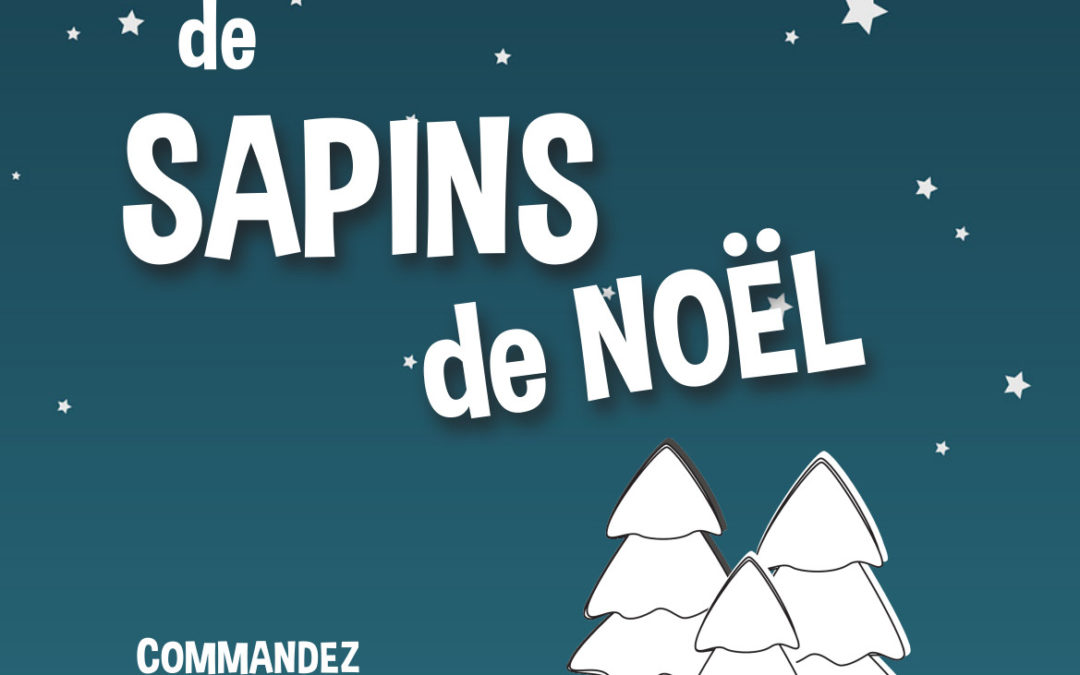 Vente de sapins de Noël