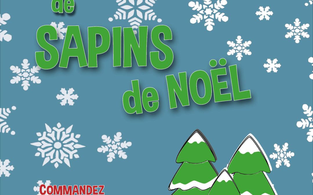 Réservez votre sapin de Noël avant le 16 novembre