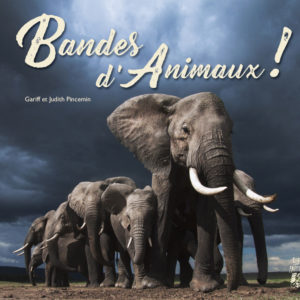 Bandes d'animaux